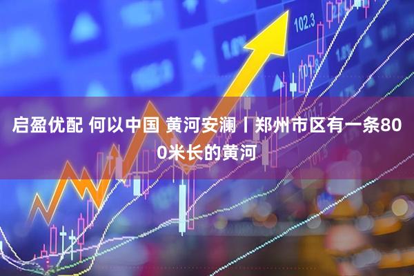启盈优配 何以中国 黄河安澜丨郑州市区有一条800米长的黄河