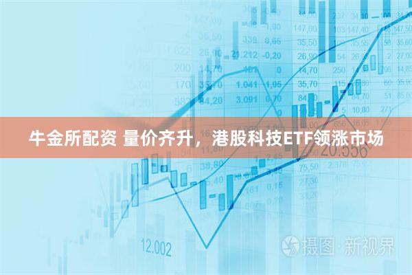 牛金所配资 量价齐升，港股科技ETF领涨市场