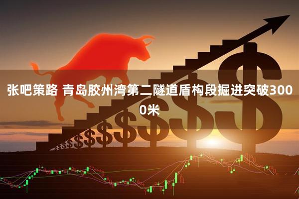 张吧策路 青岛胶州湾第二隧道盾构段掘进突破3000米